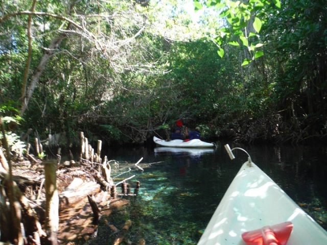 remando en vacaciones